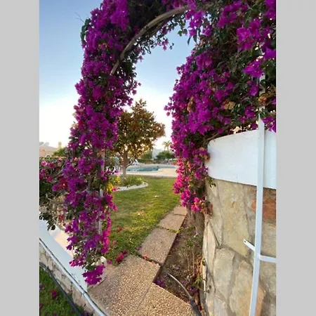 Marina Villa *